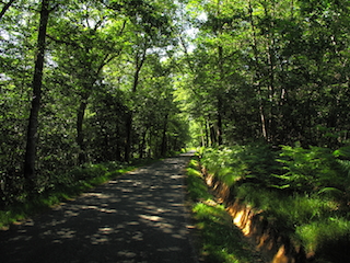 Forêt de la Double