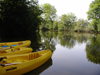 Canoë sur la Dronne